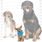 Mighty Jr Microfiber Ball Monster & Elephant 2 Pack