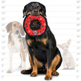 Load image into Gallery viewer, tuffy® Medium Red Ring & Yellow Bone 2 Pack
