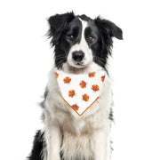 Fall Thanksgiving Bandana | Turkey Bandana | Holiday Dog Bandana | Fall Bandana | Little Turkey's