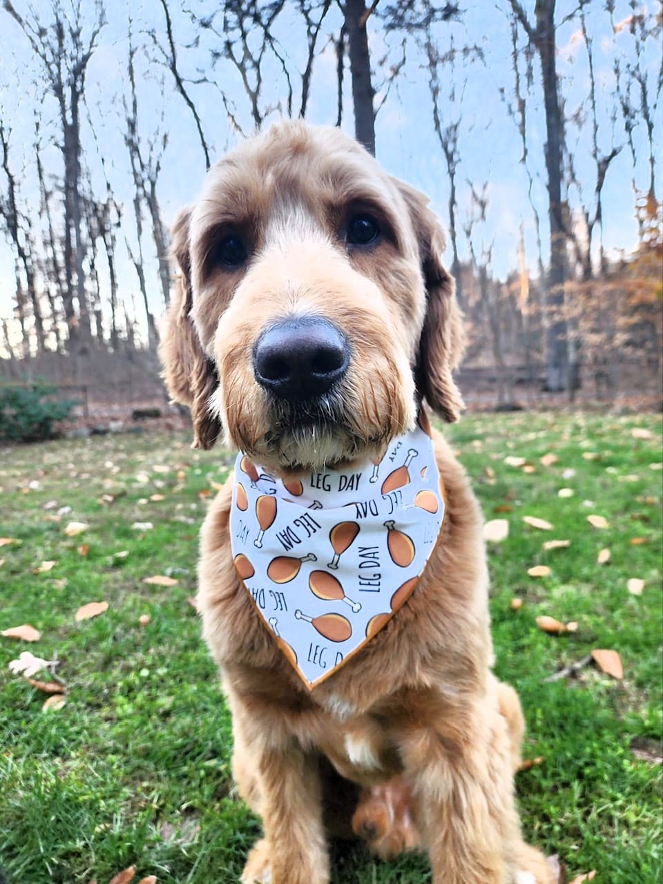Thanksgiving Bandana | Turkey Bandana | Holiday Dog Bandana | Fall Bandana | LEG DAY - Southlake Paws