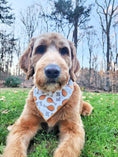 Load image into Gallery viewer, Thanksgiving Bandana | Turkey Bandana | Holiday Dog Bandana | Fall Bandana | LEG DAY - Southlake Paws
