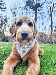 Thanksgiving Bandana | Turkey Bandana | Holiday Dog Bandana | Fall Bandana | LEG DAY