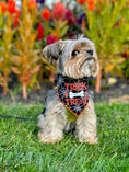 Load image into Gallery viewer, Halloween Bandana | Halloween Dog Bandana | Black Spider Web | Trick for Treat - Southlake Paws
