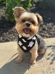 Halloween Bandana | Halloween Dog Bandana | Fall Bandana | Baby Ghosts