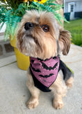Load image into Gallery viewer, Halloween Bandana | Halloween Dog Bandana | Fall Bandana | Baby Bats - Southlake Paws
