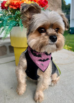 Halloween Bandana | Halloween Dog Bandana | Fall Bandana | Baby Bats
