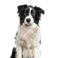 Load image into Gallery viewer, Fall Bandana, Plaid Bandana,  Autumn, Dog Bandana

