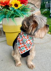 Fall Bandana | Halloween Dog Bandana | Thanksgiving | Coffee | Dog Lover Gift