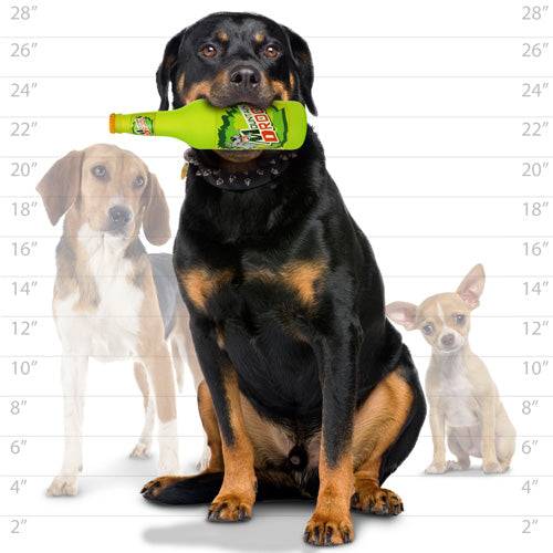 Silly Squeakers®  Beer Bottle - Mountain Drool