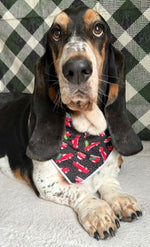 Christmas Bandana | Holiday Bandana | Red Trucks | Winter Bandana