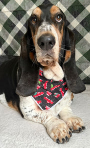 Christmas Bandana | Holiday Bandana | Red Trucks | Winter Bandana