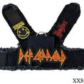 Load image into Gallery viewer, Def Leppard Harness
