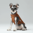 Load image into Gallery viewer, Reversible Dog Vest Jacket - Orange Grey
