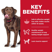 Hill's Science Diet Adult Perfect Weight Large Breed Dry Dog Food, Chicken Recipe Bag (25lb) 