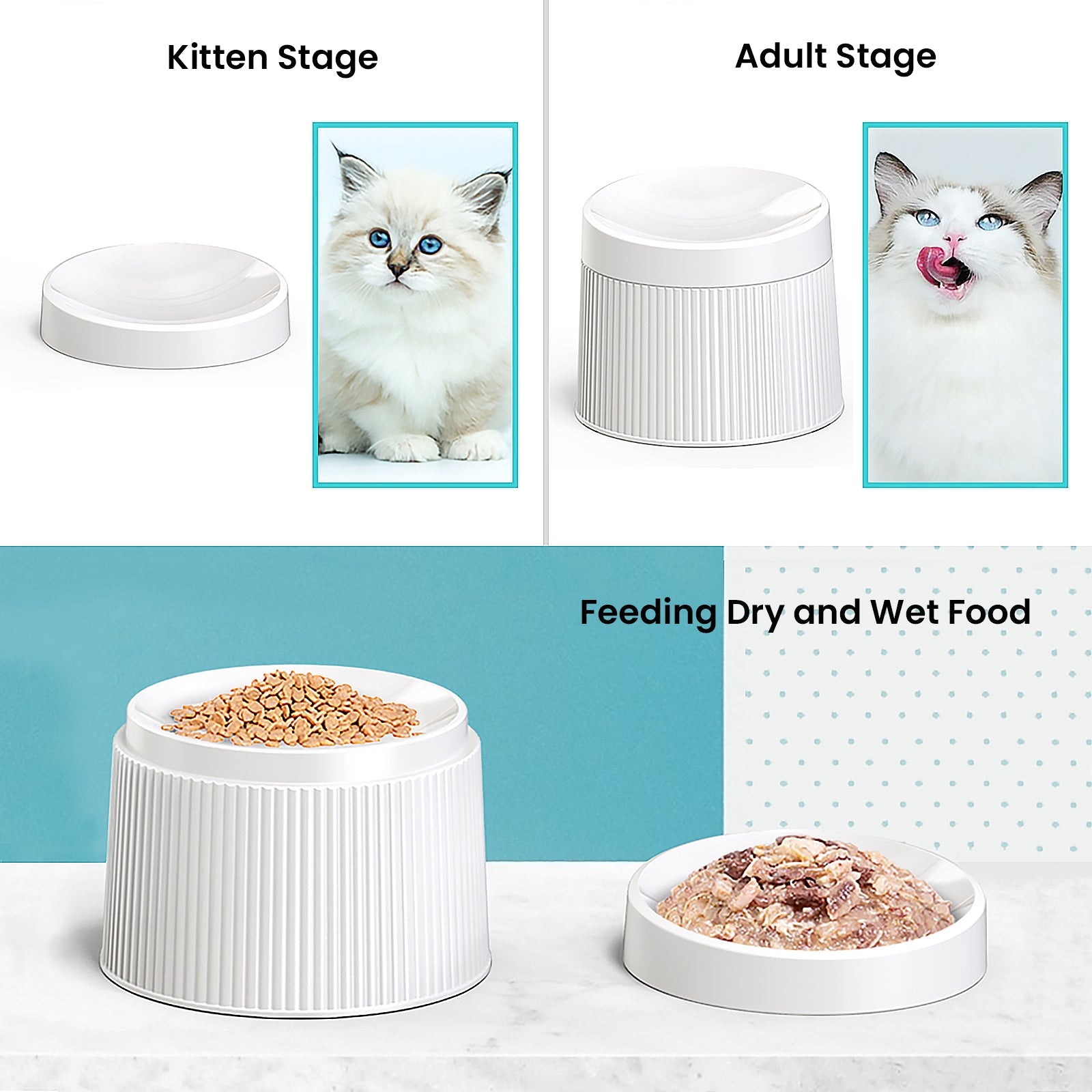 Elevated and Tilted Cat Food Bowl 