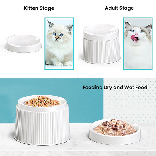 Elevated and Tilted Cat Food Bowl 