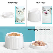 Elevated and Tilted Cat Food Bowl 
