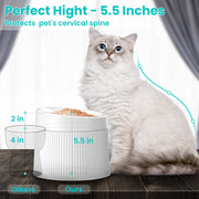 Elevated and Tilted Cat Food Bowl 