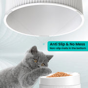 Elevated and Tilted Cat Food Bowl 