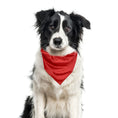 Load image into Gallery viewer, Christmas Bandana |  XMAS Bandana | Holiday Bandana | Lights | RED VELVET | Dog Bandana
