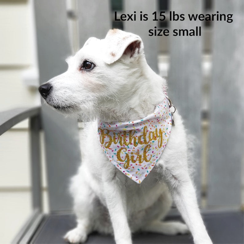 Party Bandana | Birthday Bandana | Barkday Bandana |  Birthday Dog Bandana | Happy Birthday Bandana | Birthday Girl Bandana - Southlake Paws