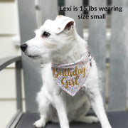 Party Bandana | Birthday Bandana | Barkday Bandana |  Birthday Dog Bandana | Happy Birthday Bandana | Birthday Girl Bandana