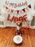 Load image into Gallery viewer, Party Bandana | Birthday Bandana | Barkday Bandana |  Birthday Dog Bandana | Happy Birthday Bandana | Birthday Girl Bandana
