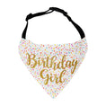 Load image into Gallery viewer, Party Bandana | Birthday Bandana | Barkday Bandana |  Birthday Dog Bandana | Happy Birthday Bandana | Birthday Girl Bandana - Southlake Paws
