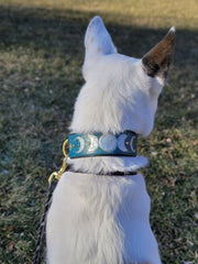 Moon Phases / Lunar Cycle / Celestial Dog Collar 