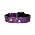 Load image into Gallery viewer, XS/S 7”-14” Iridescent Purple Custom Snake Collar/Custom Gold Italian Hardware
