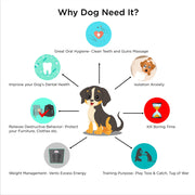 ExionPro Natural Leather Crocodile Dog Toy with Non Toxic Fiber Stuffing- Green Color