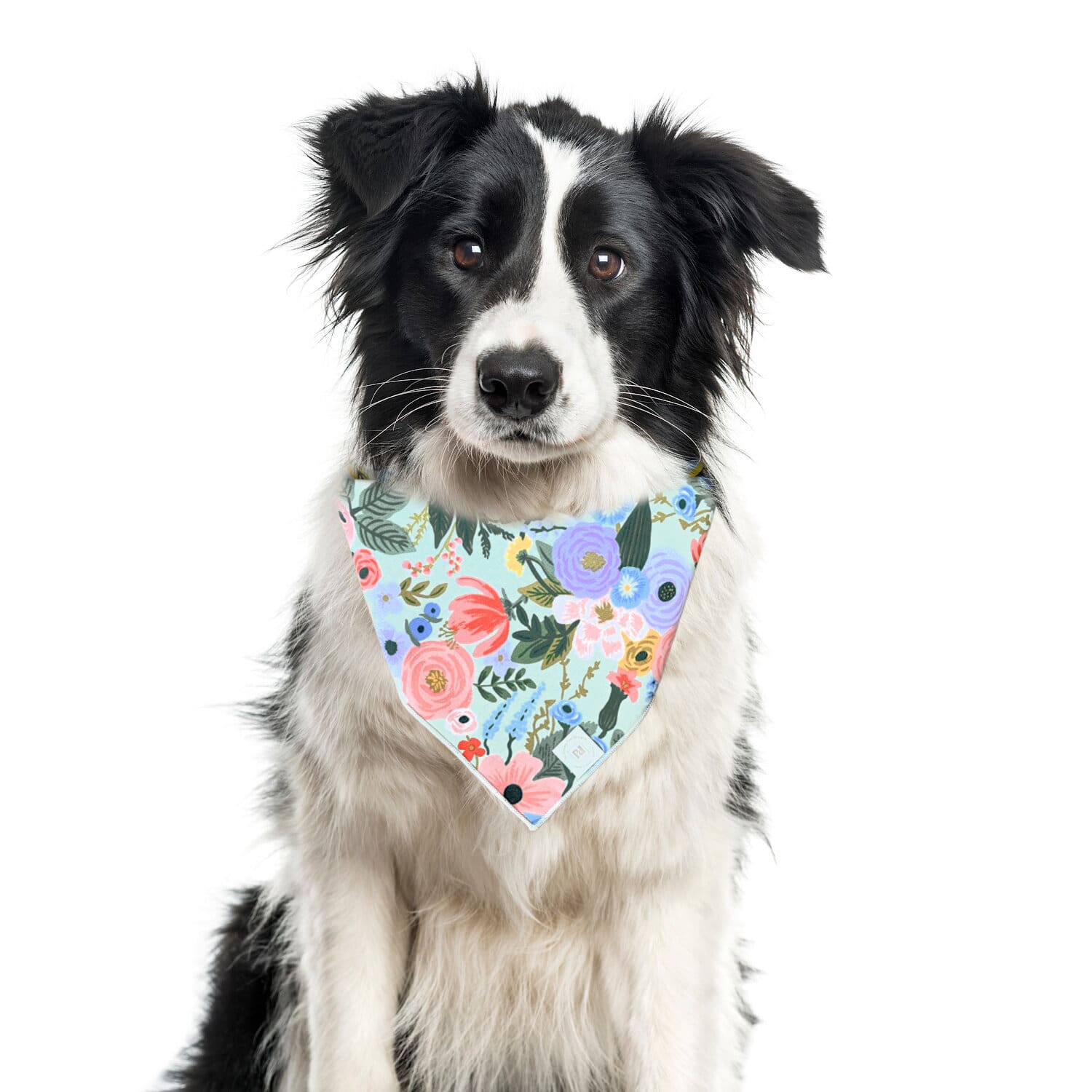 Spring Bandana, Flower Bandana, Tie Dog Bandana by Rifle Paper Co | Dog Bandana - Southlake Paws