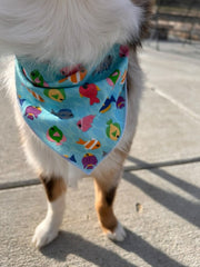 Summer Bandana | Nautical Bandana | Fish Bandana | Beach | Lake