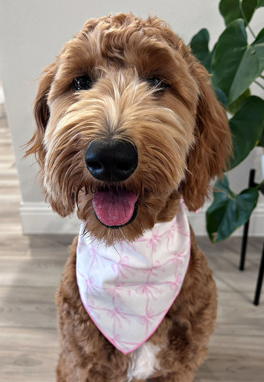 Spring, Spring Dog Bandana, Floral Bandana, Flower Bandana, Summer Bandana | Pink Bows | Mothers Day - Southlake Paws