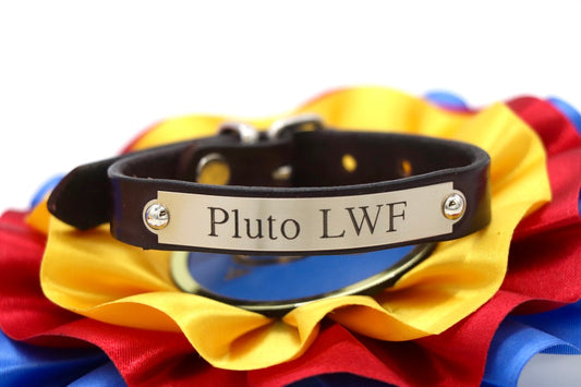 Pony Bracelet - image 5