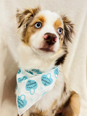 Spring, Spring Dog Bandana, Floral Bandana, Flower Bandana, Summer Bandana | Sniffany & Co | Tiffany