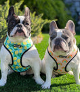 Load image into Gallery viewer, Worth The Squeeze Reversible Harness - Southlake Paws
