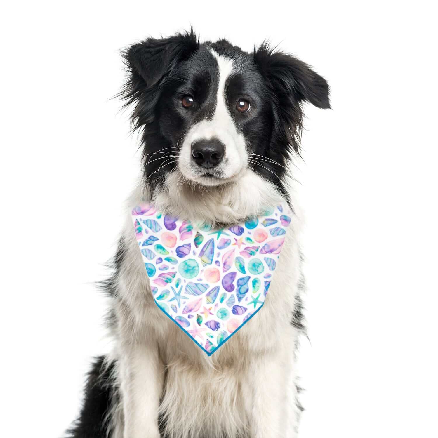 Summer Bandana | Nautical Bandana | Seashell Bandana | Beach Bandana | Dog Bandana - Southlake Paws