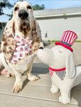 Load image into Gallery viewer, Patriotic | Memorial Day Bandana | USA | Dog Bandana | 4th of July
