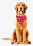 Load image into Gallery viewer, Patriotic Bandana | 4th of July | Memorial Day Bandana | USA | Silver Stars - Southlake Paws
