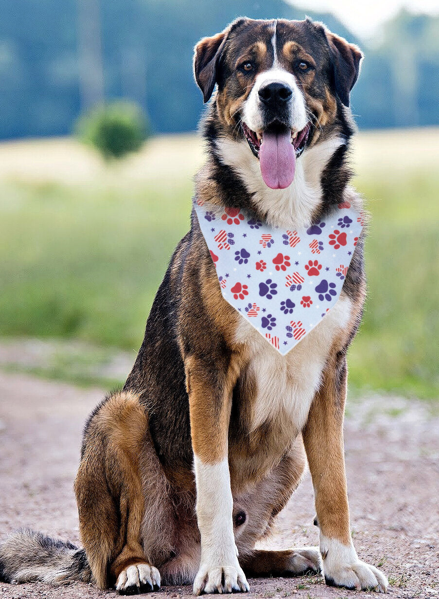 Patriotic | Memorial Day Bandana | USA | Patriotic bandana | Fourth of July | 4th - Southlake Paws