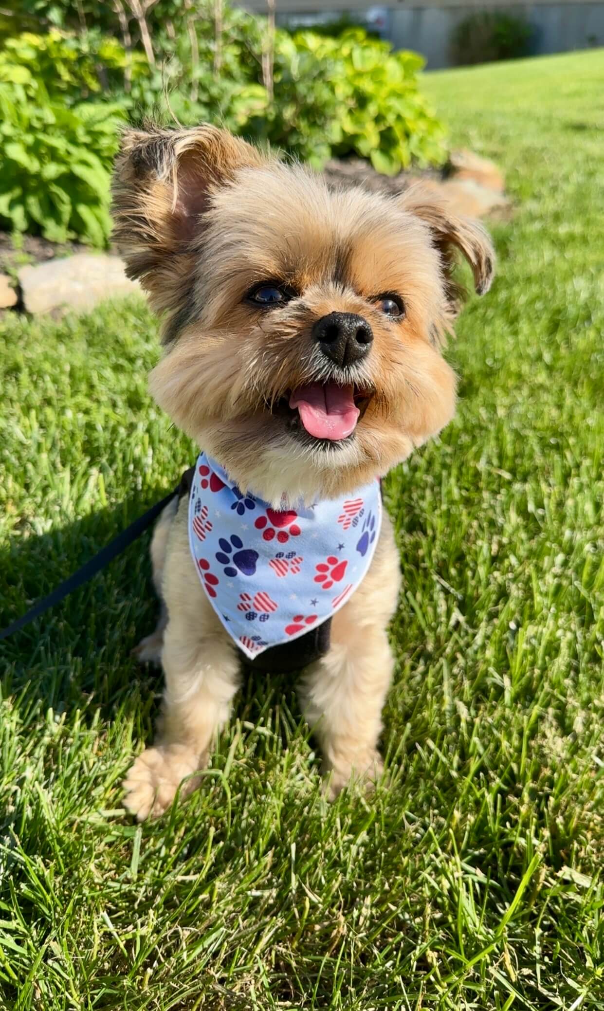 Patriotic | Memorial Day Bandana | USA | Patriotic bandana | Fourth of July | 4th