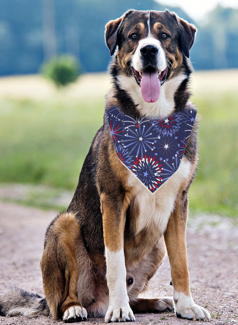 4th of July | Memorial Day Bandana | USA |  Patriotic dog bandana | Fireworks - Southlake Paws
