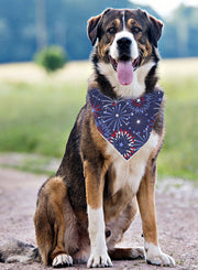4th of July | Memorial Day Bandana | USA |  Patriotic dog bandana | Fireworks