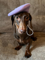 Bonjour Beret Lavender