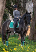Load image into Gallery viewer, Teal Saddle Pad Set
