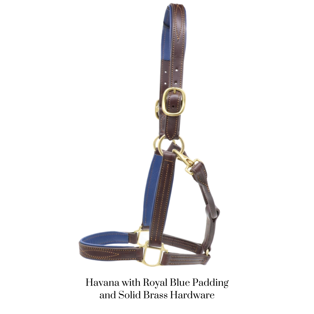GHC Padded Halter