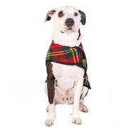 Scotty Plaid Wool Dog Blanket Coat