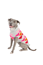 Puppy Love Knit Dog Sweater