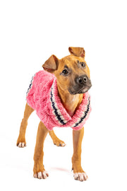 Preppy Pink Cable Knit Dog Sweater
